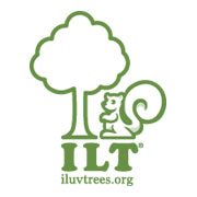 It’s Working! Anti-Greenwashing Education Is Making a Difference